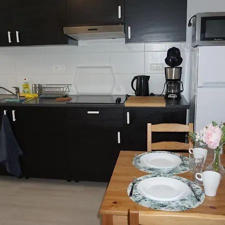 Apartment Roosevelt Apartments. Antwerp
